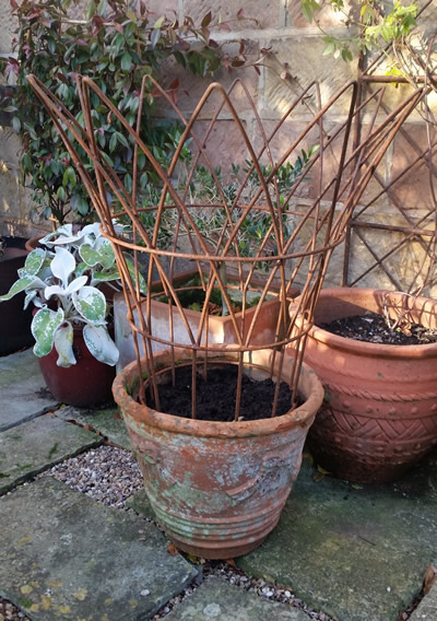Potted Plant Support